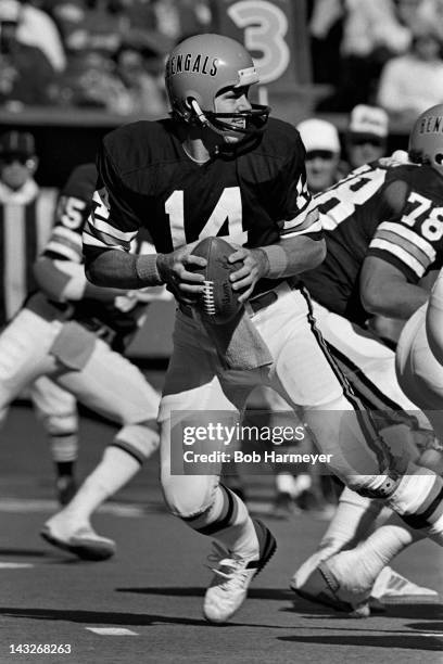 Quarterback Ken Anderson of the Cincinnati Bengals drops back to pass during a game against the San Diego Chargers on November 2 at Riverfront...