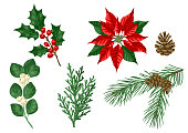 Set of winter plants. Merry Christmas and Happy New Year decoration. Holiday design.
