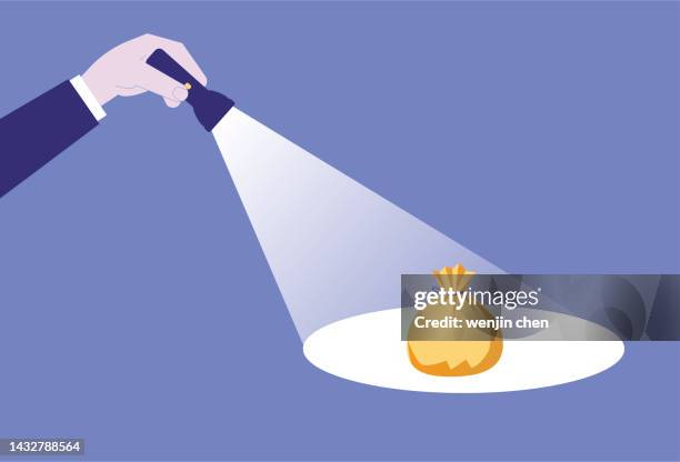 illuminate wealth with a flashlight - holding flashlight stock illustrations