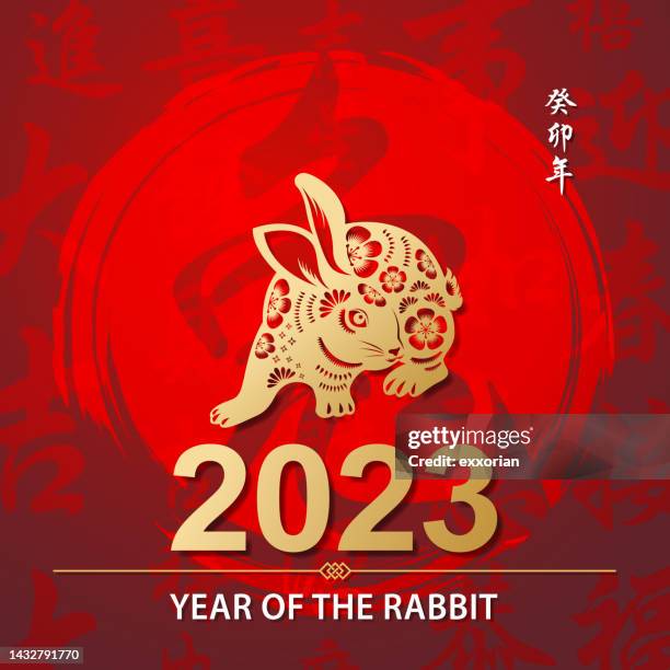 illustrazioni stock, clip art, cartoni animati e icone di tendenza di lamina d'oro coniglio anno 2023 - chinese new year vector