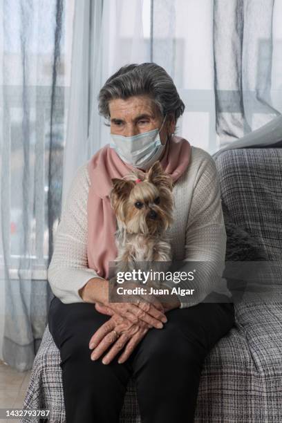 Elderly Woman With Yorkie On Couch High-Res Stock Photo