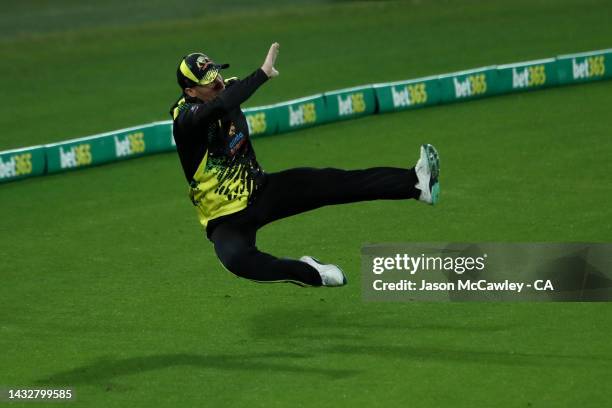 David Warner of Australia attempts a catch during game two of the T20 International series between Australia and England at Manuka Oval on October...