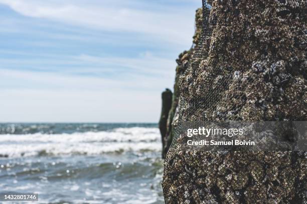Post Shell Beach Posto Shell Photos and Premium High Res Pictures - Getty Images