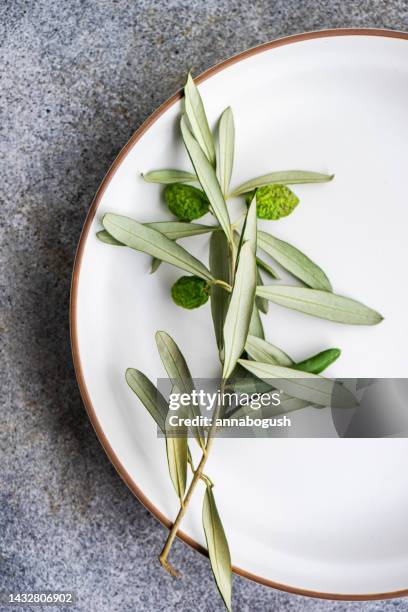 overhead view of an olive branch with olives on a plate - olivenzweig stock-fotos und bilder