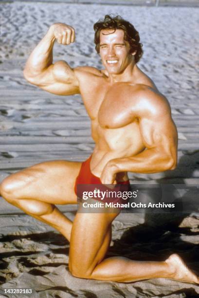 Austrian Bodybuilder Arnold Schwarzenegger poses for a portrait on Venice Beach in August 1977 in Los Angeles, California.