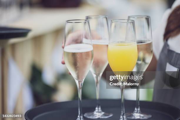 close-up of champagne  glasses on a tray of a waitress. catering service at a garden party, summer festival, or wedding. - summer cocktails garden party drinks bildbanksfoton och bilder