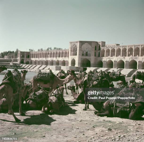 Camels congregate beside the Zayandeh River flowing under the Khaju Bridge and weir in the city of Isfahan in the Isfahan Province of Iran circa 1960.