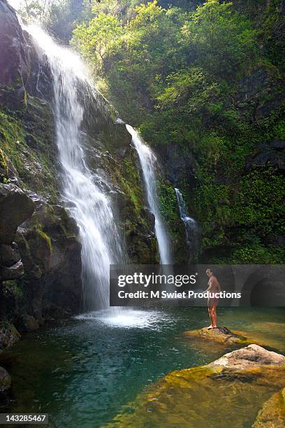 swimming waterfalls - water fall hawaii - fotografias e filmes do acervo