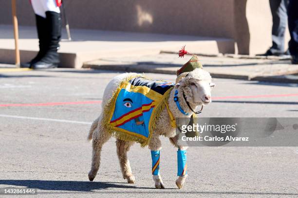 Legionnaires and their goat mascot march during the National Day Military Parade on October 12, 2022 in Madrid, Spain.