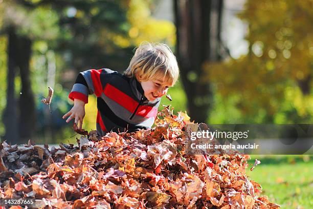 Boy jumping in a leaf pile