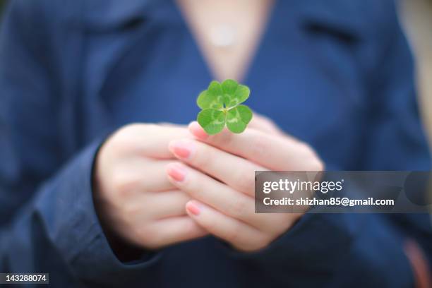 four beautiful leaves of clover - símbolo do trevo de quatro folhas - fotografias e filmes do acervo