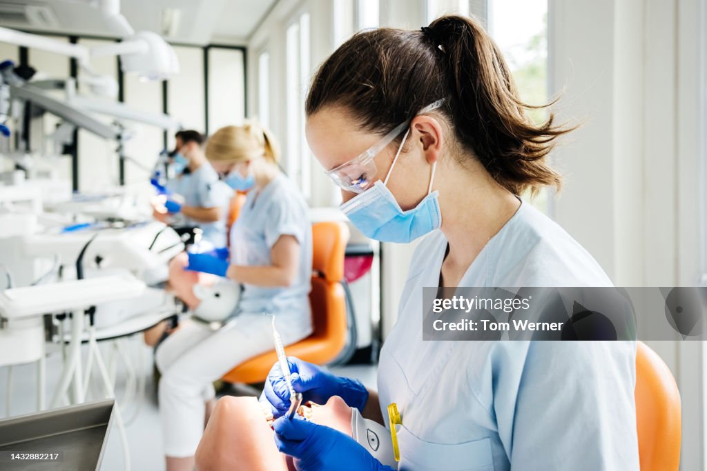 Student Dentist Practicing Surgical Procedure On Dummy In Class