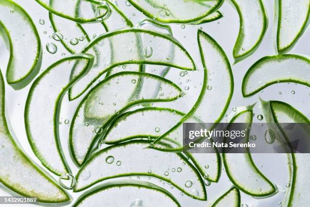 aloe vera slice texture with gel on green background. - enzyme structure stock pictures, royalty-free photos & images