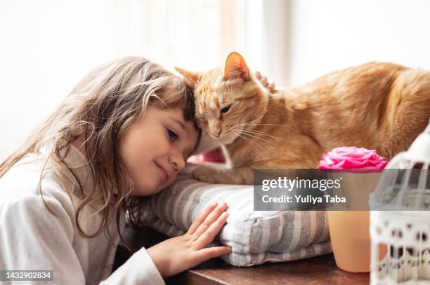 a small cute child toddler 3 years old gently embraces a red fluffy cat sitting on a pillow  toddler girl embraces with tenderness and love her ginger cat, domestic pet. happy child girl playing with cat - cat owner stockfoto's en -beelden