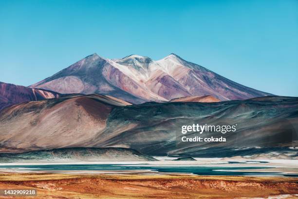 laguna tuyajto in der atacama-wüste - lagoon stock-fotos und bilder