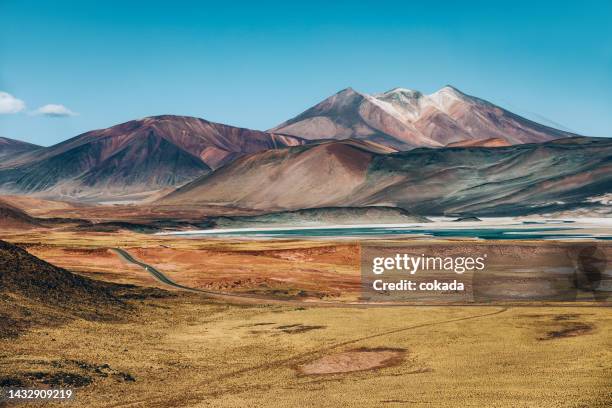 laguna tuyajto at atacama desert - atacama stock pictures, royalty-free photos & images