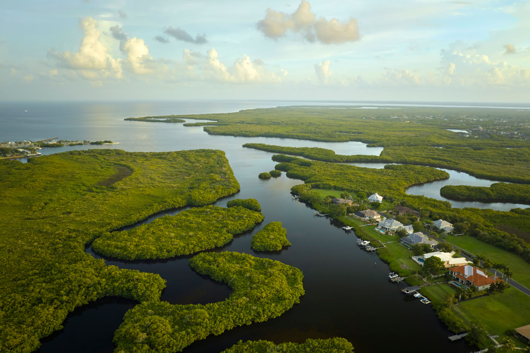 florida ecosystem
