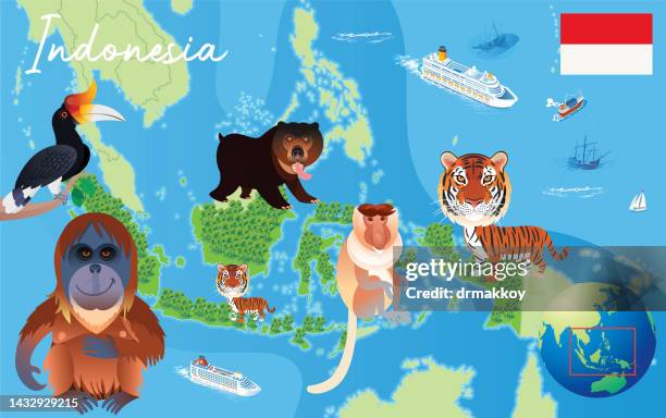 tiere karte von indonesien - insel sumatra stock-grafiken, -clipart, -cartoons und -symbole