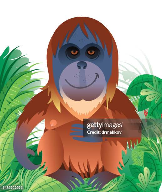 stockillustraties, clipart, cartoons en iconen met orangutan ın forest - kalimantan