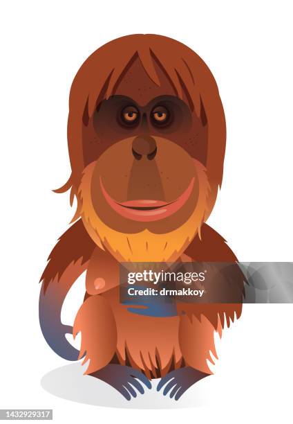 orang-utan - kalimantan stock-grafiken, -clipart, -cartoons und -symbole