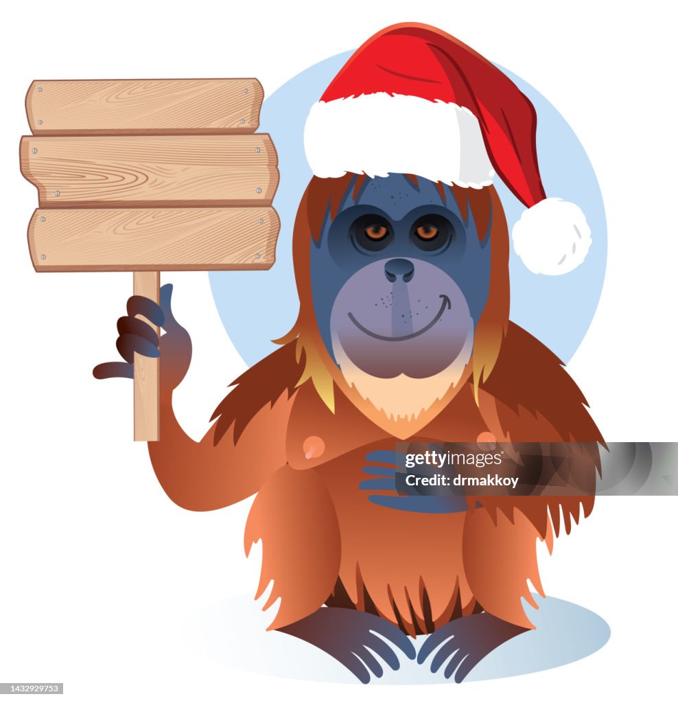 Orangutan wearing santa hat