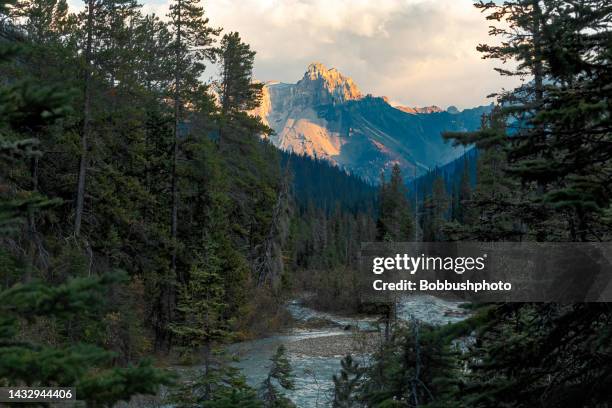 cathedral mountain from area around takakkah falls, canadian rockies - oeste dos estados unidos imagens e fotografias de stock