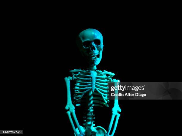 skeleton with black background. halloween creative image. - human bone fotografías e imágenes de stock