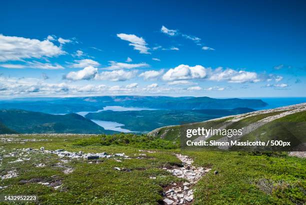 scenic view of landscape against blue sky,newfoundlandand labrador,canada - newfoundland and labrador 個照片及圖片檔