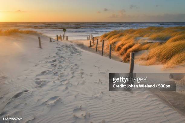 scenic view of beach against sky during sunset,nj petten,netherlands,petten - goud strand stockfoto's en -beelden