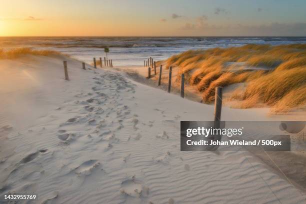 scenic view of beach against sky during sunset,nj petten,netherlands,petten - beach nobody stock pictures, royalty-free photos & images