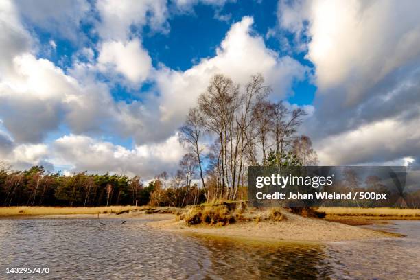 panoramic view of trees on landscape against sky,kootwijk,netherlands - veluwemeer stockfoto's en -beelden