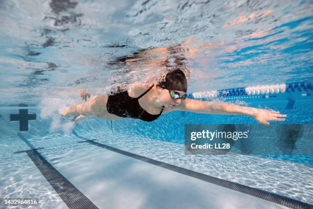 female freestyle swimmer - swimming lanes stock pictures, royalty-free photos & images