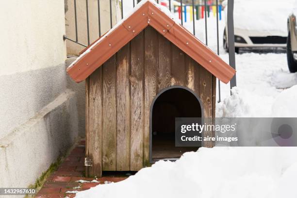 dog house made of wood on one side of a wall in the winter, a ladder behind it and two carts - kennel stock pictures, royalty-free photos & images