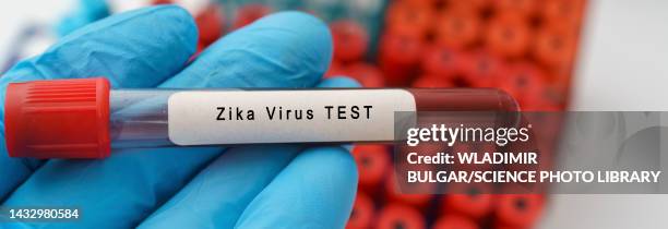 zika virus test, conceptual image - zika stock-fotos und bilder