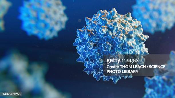 adeno-associated virus, illustration - microrganismos imagens e fotografias de stock
