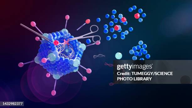 genetic engineering, illustration - protein stock pictures, royalty-free photos & images