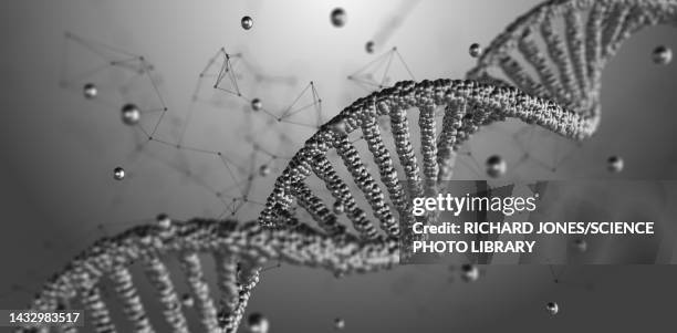 dna molecule, illustration - next generation sequencing stock illustrations