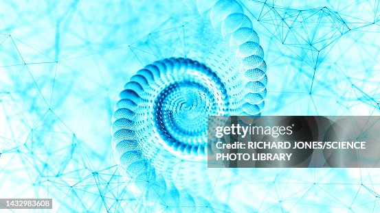 DNA molecule, illustration DNA molecule, illustration