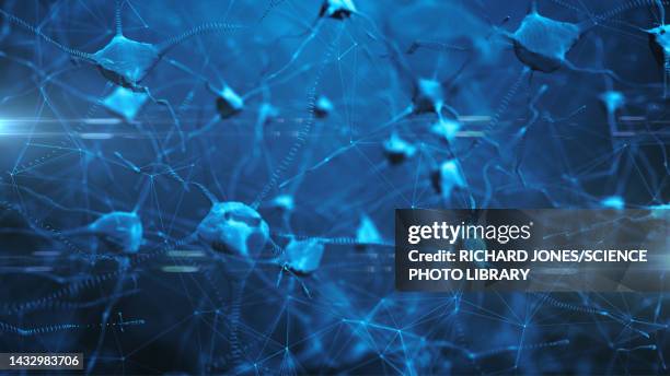 nerve cells, illustration - neurotransmitter brain stock illustrations