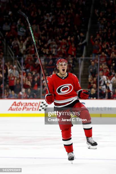 Brady Skjei of the Carolina Hurricanes celebrates after scoring a goal during the second period of the game against the Columbus Blue Jackets at PNC...
