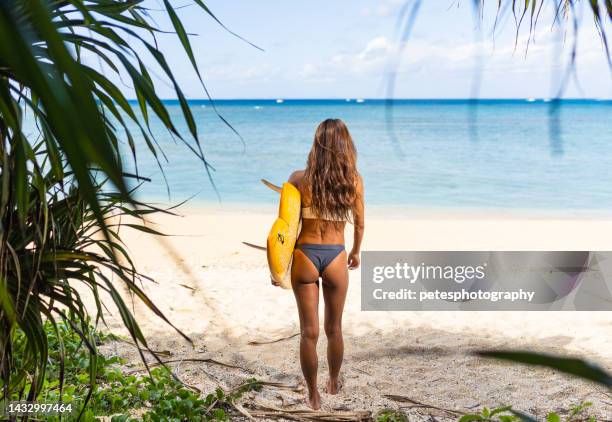 gebräuntes japanisches surfermädchen, das mit ihrem surfbrett steht und den ozean überprüft - thongs stock-fotos und bilder