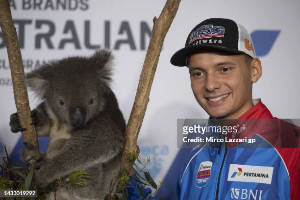 Bo Bendsneyder of Netherlands and Pertamina Mandalika SAG Team smiles with a koala during the pre-event "Traditional Animal Encounter" during...
