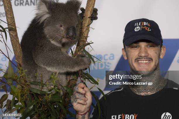 Aron Canet of Spain and Flexbox HP40 poses with a koala during the pre-event "Traditional Animal Encounter" during previews ahead of the MotoGP of...