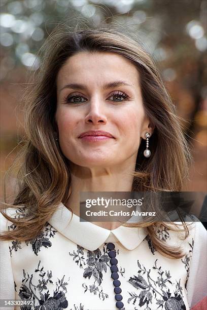 Princess Letizia of Spain attends "Miguel de Cervantes" Award 2012 at Alcala de Henares University on April 23, 2012 in Alcala de Henares, Spain.