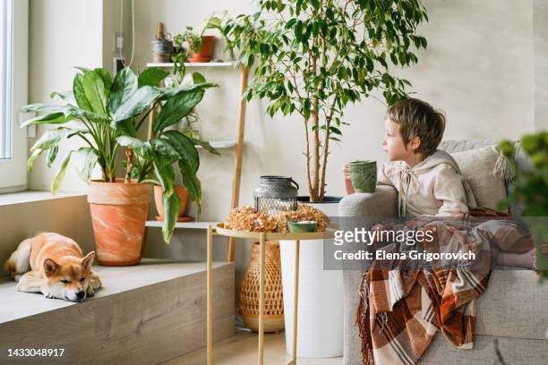 preschooler boy drinks hot chocolate with a warm cozy blanket and a dreaming dog on an autumn day - kid day dreaming photos et images de collection