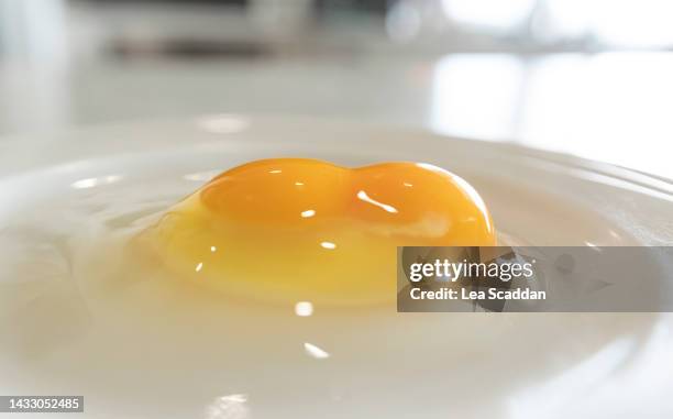 double yolk - egg yolk stock pictures, royalty-free photos & images