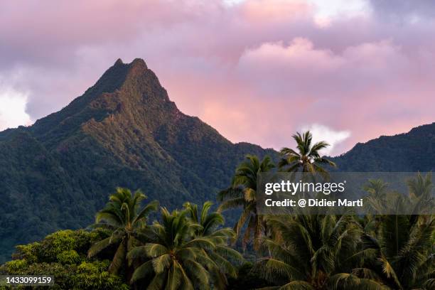 sunset over rarotonga mountain in the cook islands - rarotonga fotografías e imágenes de stock