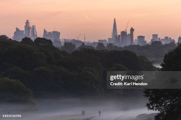 autumn sunrise in a london park - central london stock-fotos und bilder