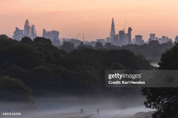 autumn sunrise in a london park - richmond upon thames stockfoto's en -beelden