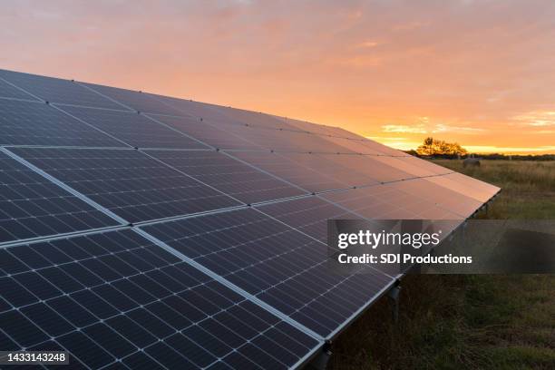 grade de painéis solares reflete o sol nascente - energia solar - fotografias e filmes do acervo